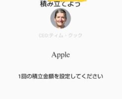 ワンタップバイのAppleの購入画面